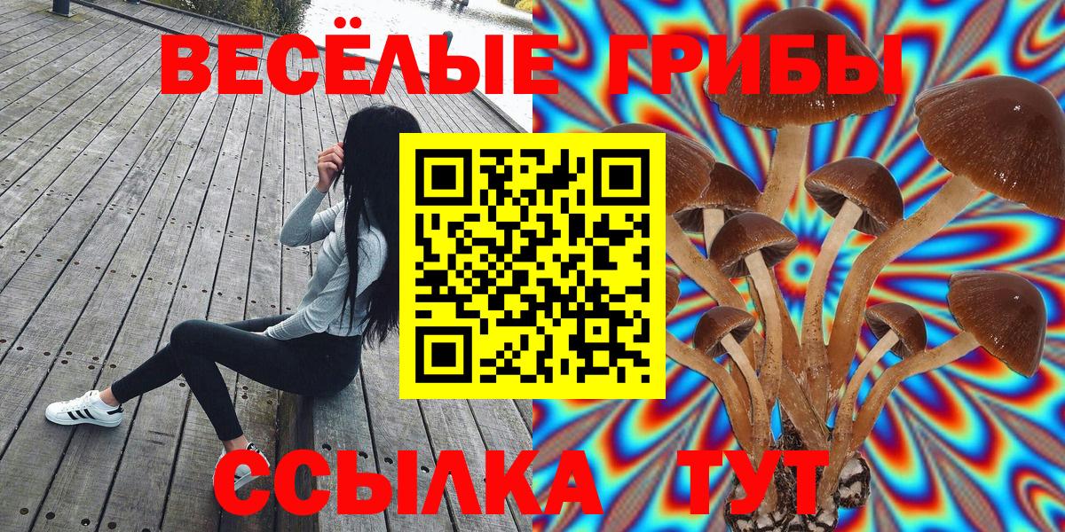 Барабинск  Псилоцибиновые грибы MAGIC MUSHROOMS  Галлюциногенные грибы Magic Shrooms  Вход с VPN 